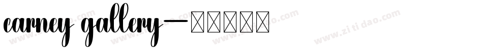 carney gallery字体转换